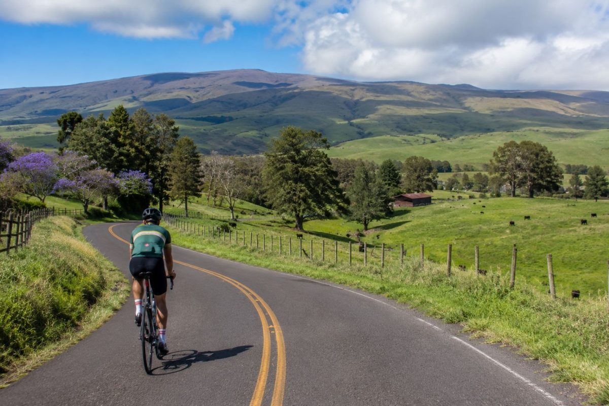 Road cyclist pedaling through Upcountry Maui's green rolling hills and eucalyptus groves 