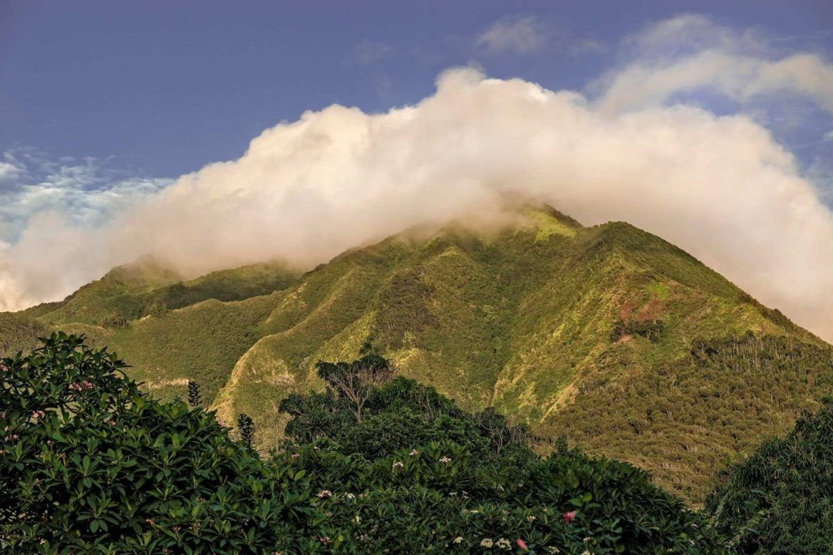 Iao Valley State Monument needle viewpoint with lush tropical valley 